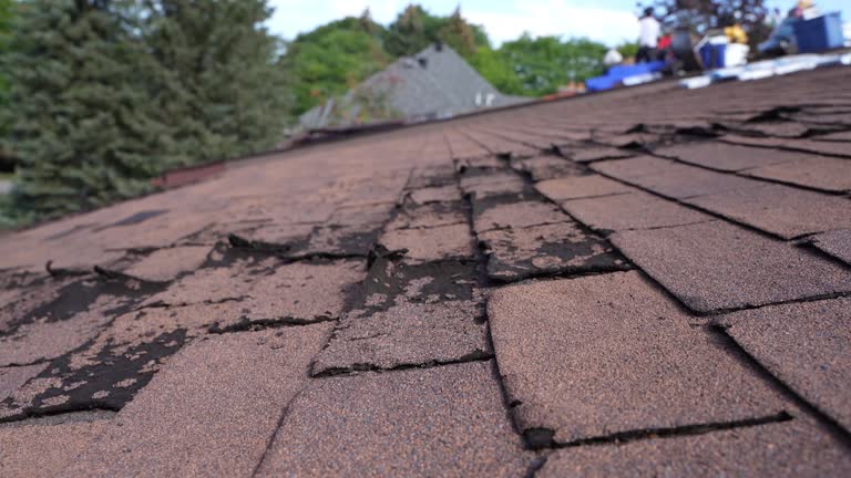 Best Roof Waterproofing  in Heber, CA
