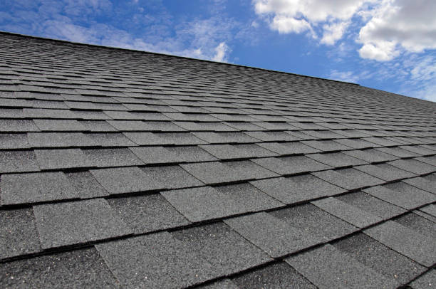 Best Roof Moss and Algae Removal  in Heber, CA